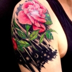 8688FD59-3793-4AC7-8C10-E4E2DBE3DDDF